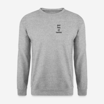 Preview: Vorderansicht eines grauen PROVE 'EM WRONG Pullovers